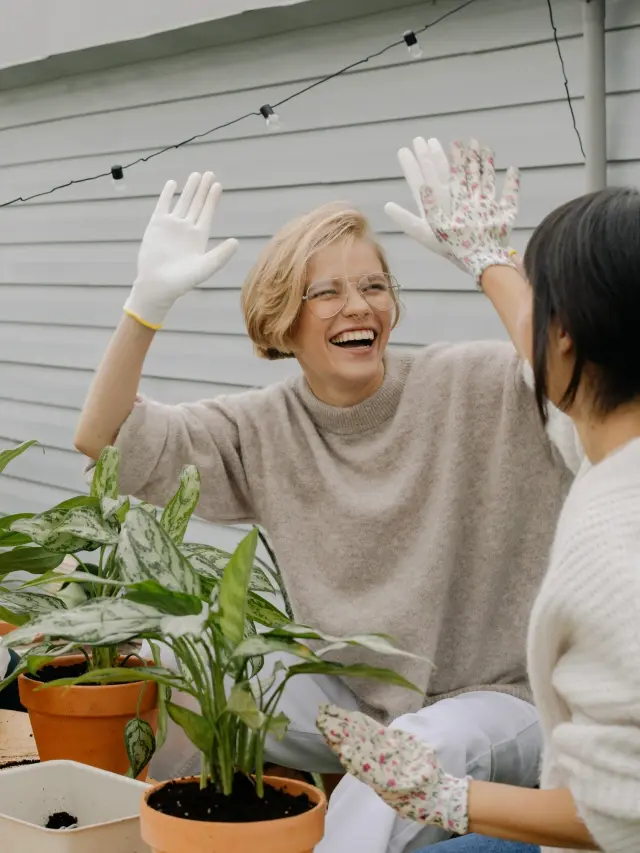 Zwei Frauen lachen beim Umtopfen von Pflanzen und geben sich fröhlich ein "High Five"